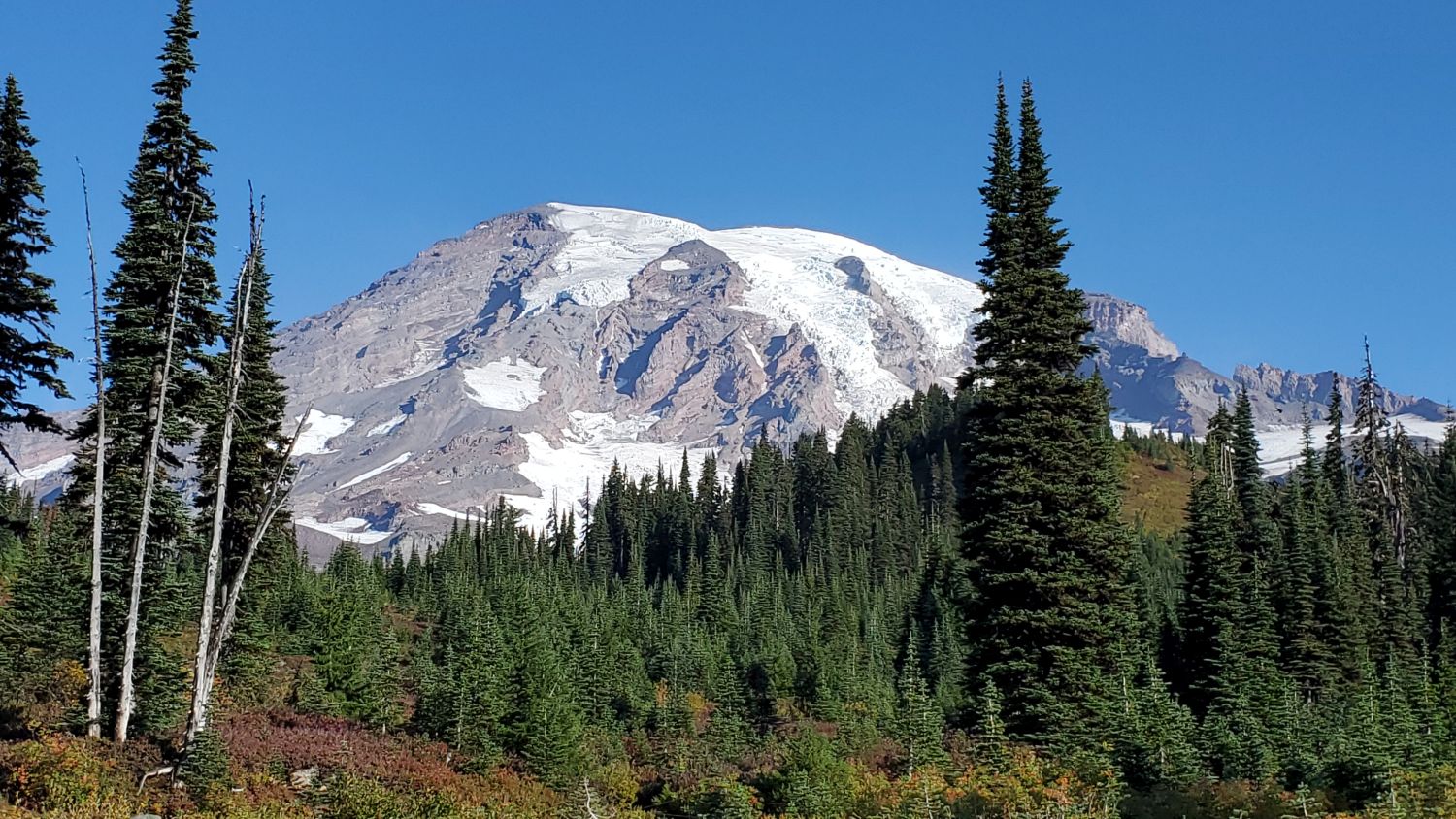 Mount Rainier NP 